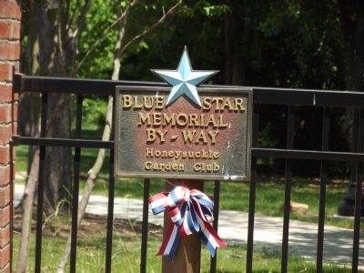 Blue Star Marker image. Click for full size.