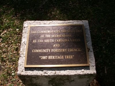 Deerhead Oak Marker. Click for full size. Deerhead Oak Marker image. Click for full size.