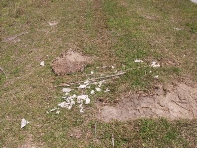 Hampton Plantation Marker ~ Missing image. Click for full size.