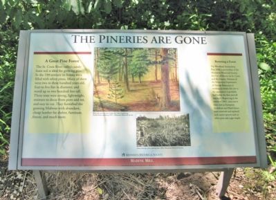 The Pineries are Gone Marker. Click for full size. The Pineries are Gone Marker image. Click for full size.