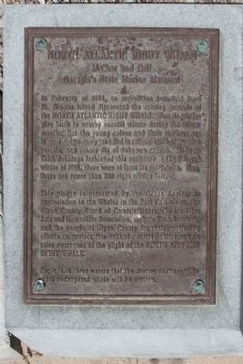 North Atlantic Right Whale Marker. Click for full size. North Atlantic Right Whale Marker image. Click for full size.