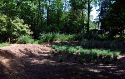 Drained Area Converted into Garden Space. Click for full size. Drained Area Converted into Garden Space image. Click for full size.