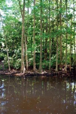 Hatcher Garden & Woodland Preserve. Click for full size. Hatcher Garden & Woodland Preserve image. Click for full size.