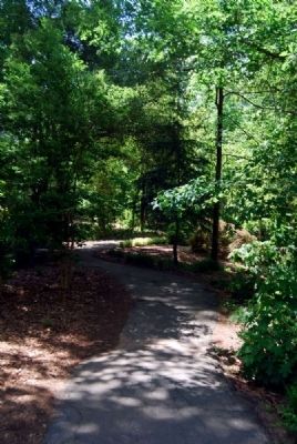 Hatcher Garden & Woodland Preserve Winding Path image. Click for full size.