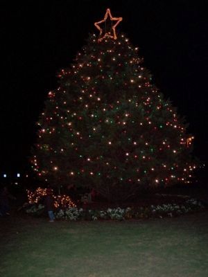 Beaufort Historic District Freedom Mall Christmas Tree image. Click for full size.