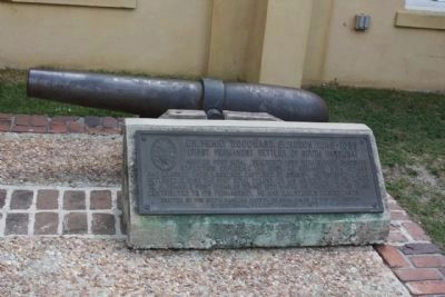 Dr. Henry Woodward, Surgeon Marker, relocated in 2012 image. Click for full size.