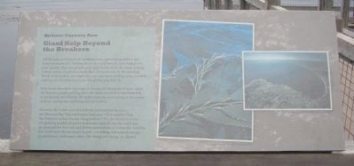 Giant Kelp Beyond the Breakers Marker image. Click for full size.