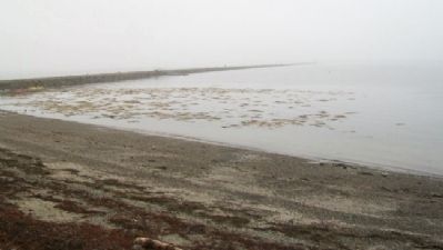 Rockland Harbor Breakwater on a Foggy Day image. Click for full size.