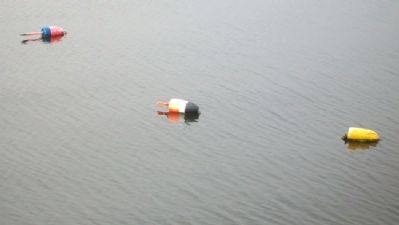 Lobster Trap Floats Off Rockland Harbor Breakwater image. Click for full size.