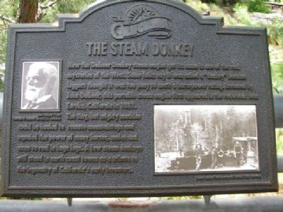 The Steam Donkey Marker image. Click for full size.