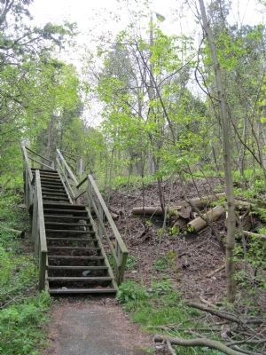 The Niagara Escarpment Slope. Click for full size. The Niagara Escarpment Slope image. Click for full size.
