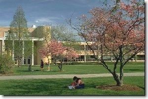 The University of North Carolina at Asheville. Click for full size. The University of North Carolina at Asheville image. Click for full size.