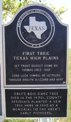 First Tree Marker image. Click for full size.