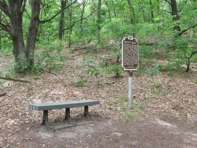 Brady's Bluff Marker. Click for full size. Brady's Bluff Marker image. Click for full size.
