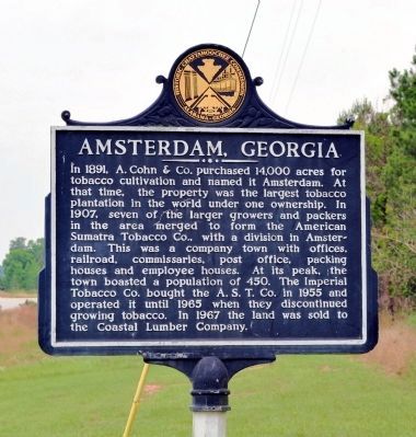 Side 1: Amsterdam, Georgia Marker image. Click for full size.