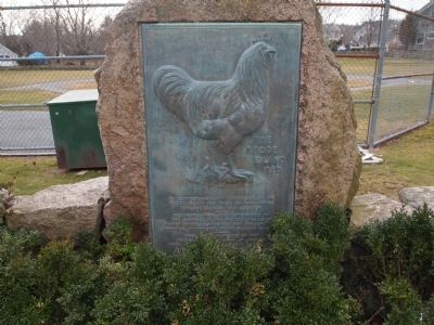 Rhode Island Red Marker image. Click for full size.