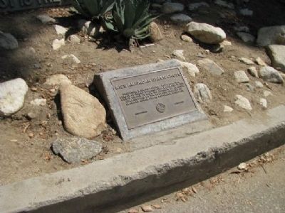 Miss American Green Cross Marker. Click for full size. Miss American Green Cross Marker image. Click for full size.