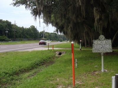 Looking south on US 17 image. Click for full size.