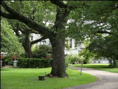 Hutchings House Carriage and Guest House. Click for full size. Hutchings House Carriage and Guest House image. Click for full size.