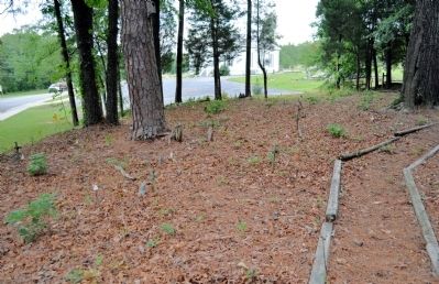 Black Pioneers Cemetery. Click for full size. Black Pioneers Cemetery image. Click for full size.