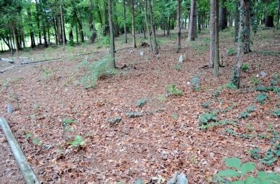 Black Pioneers Cemetery. Click for full size. Black Pioneers Cemetery image. Click for full size.