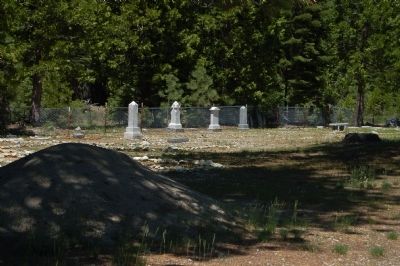 Johnsville Cemetery image. Click for full size.