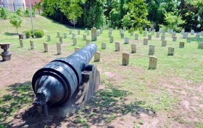 Confederate Graves in Linwood Cemetery image. Click for full size.