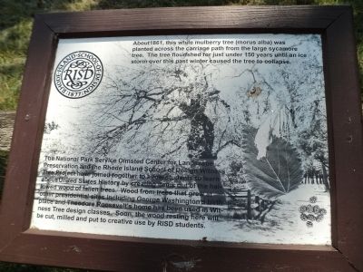 Fallen White Mulberry Tree Marker image. Click for full size.