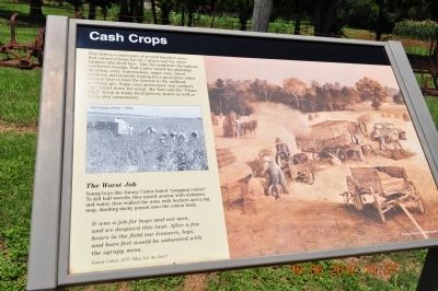 Cash Crops Marker. Click for full size. Cash Crops Marker image. Click for full size.