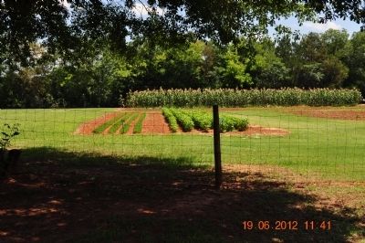 The Carter Family Garden Marker image. Click for full size.