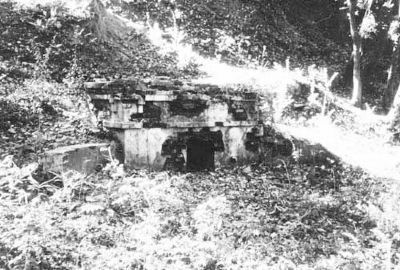 Coker Spring Prior to Excavation, 1972 image. Click for full size.