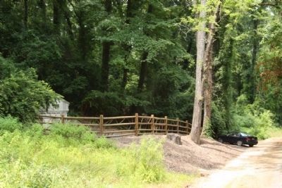Coker Spring nestled in along Coker Spring Road. Click for full size. Coker Spring nestled in along Coker Spring Road image. Click for full size.