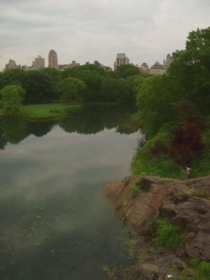 Turtle Pond image. Click for full size.