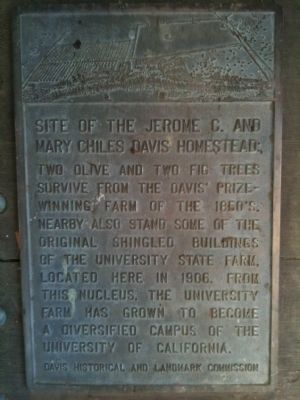 Site of the Jerome C. and Mary Chiles Davis Homestead Marker image. Click for full size.
