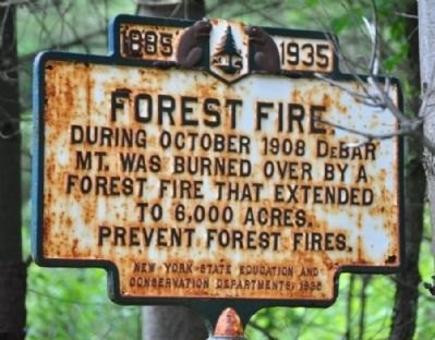 Forest Fire Marker image. Click for full size.