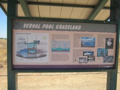Vernal Pool Grassland Marker image. Click for full size.