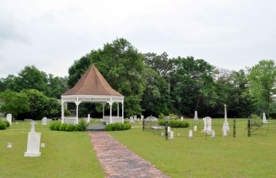 Attapulgus Presbyterian Cemetery image. Click for full size.