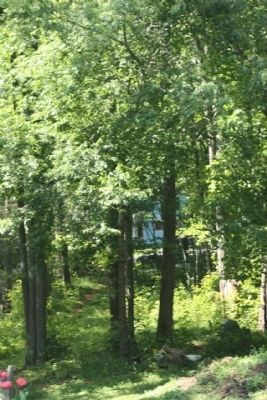 Sherrill's Inn , todays view thru the trees near Charlotte Highway from the Private entrance image. Click for full size.