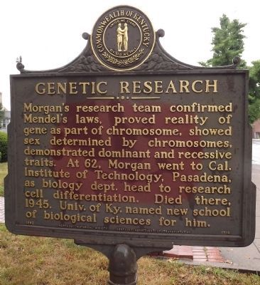 Genetic Research Marker (reverse) image. Click for full size.