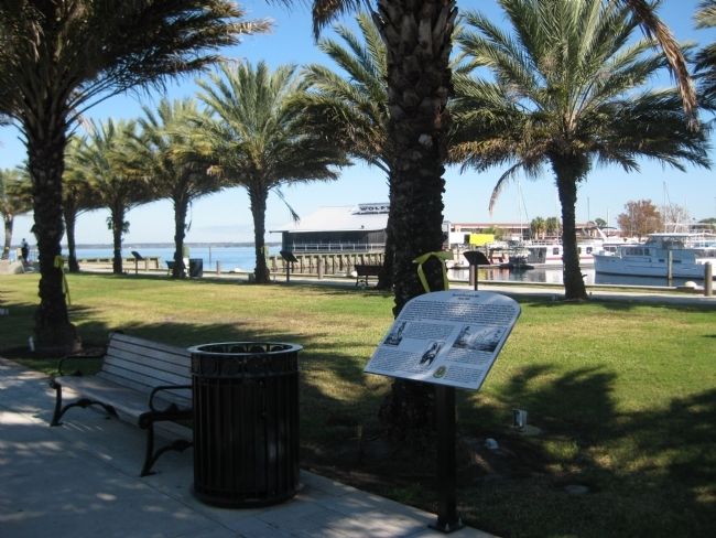 Second Seminole War Marker. Click for full size. Second Seminole War Marker image. Click for full size.