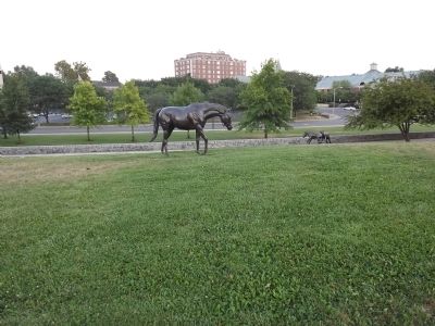 Thoroughbred Park image. Click for full size.