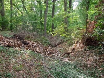 North side rifle trench. Click for full size. North side rifle trench image. Click for full size.