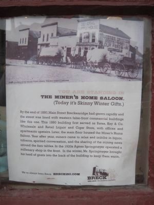 Write-up of the Miner's Home Saloon, in the front window image. Click for full size.
