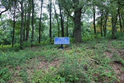 Raum's Brigade Marker. Click for full size. Raum's Brigade Marker image. Click for full size.