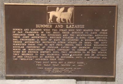 Bummer and Lazarus Marker image. Click for full size.