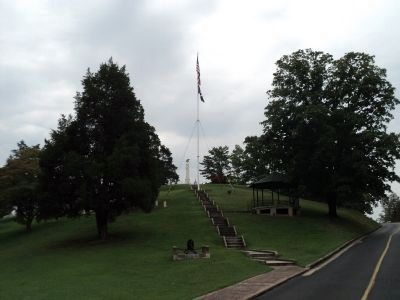 Johnson's grave as seen from the marker image. Click for full size.