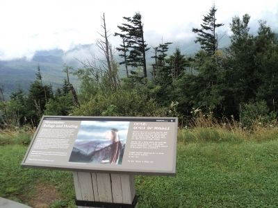 Mountains: Refuge and Healing Marker. Click for full size. Mountains: Refuge and Healing Marker image. Click for full size.