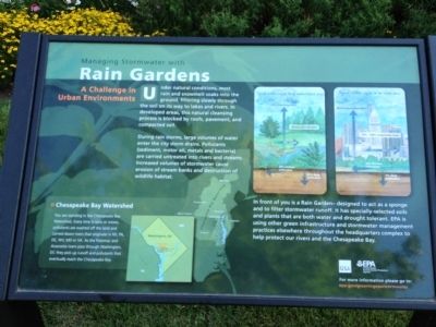 Rain Gardens image. Click for full size.