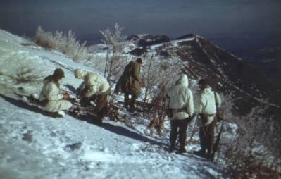 Source picture used on the 10th Mountain Division Marker image. Click for full size.