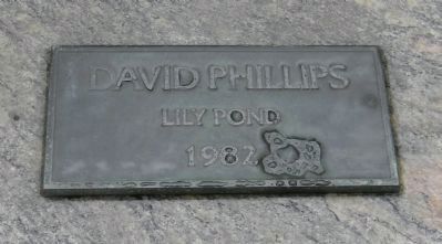 <center>David Phillips' Lilly Pond No. 1, 1982 image. Click for full size.